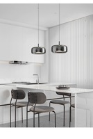 Lustre LED moderne minimaliste noir de luxe, petite lampe suspendue en fer, verre fumé, blanc chaud, intensité variable, pour hôtel, chevet, cuisine