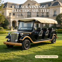 Véhicule de golf électrique vintage classique pour 11 passagers, idéal pour les centres de villégiature et les visites touristiques - Fabrication ODM/OEM