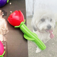 Jouet à mâcher pour chien en caoutchouc de luxe OEM, en forme d'os, pour la Saint-Valentin, avec brosse à dents intégrée, design amusant, cadeau pour petits animaux