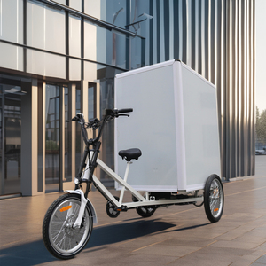 Tricycle motorisé pour adultes 3 en 1 certifié CEE 48V avec boîte arrière, mini-fourgonnette et tricycle fermé - Product Image 3