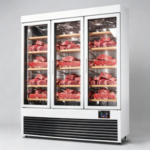 Congélateur Commercial Ventilé à Trois Portes pour Viande, Réfrigérateur de Maturation et de Conservation des Viandes Fraîches - Product Image 1