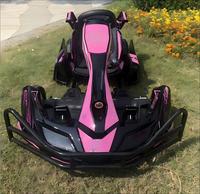 Go-Kart de carreras eléctrico de 350W/800W para niños y adultos, coches de Karting alimentados por batería para carreras al aire libre