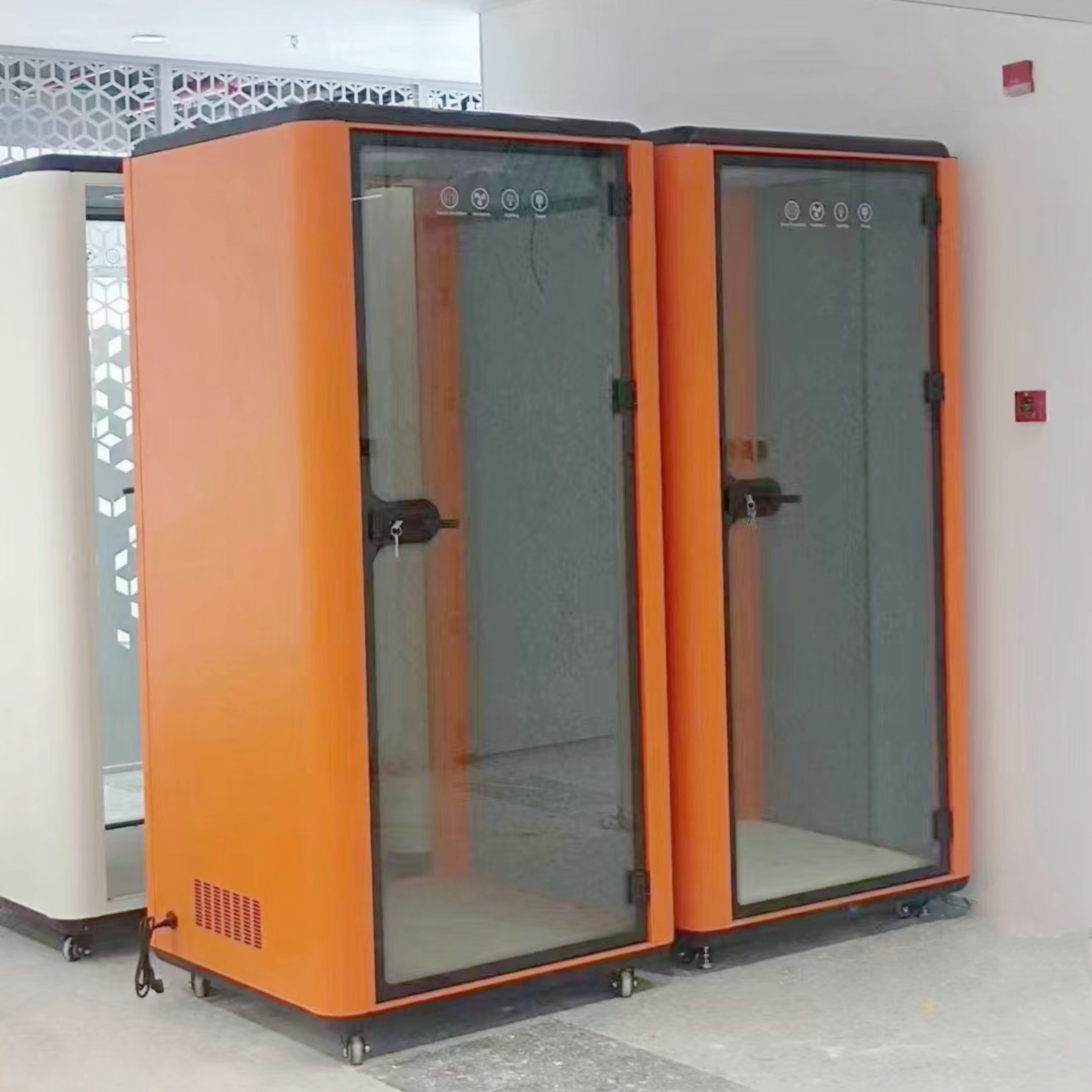 ผลไม้สีส้มและสีเทาเงิน