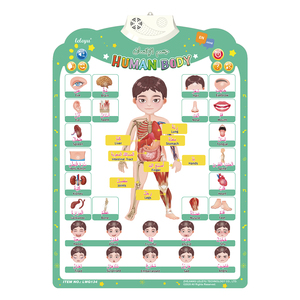 Póster Educativo Electrónico en Árabe para Niños, con Sonidos, para <span class=keywords><strong>Aprender</strong></span> sobre el Cuerpo Humano, Gráficos Educativos para Pared - Product Image 2