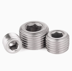 Wz nóng bán 304 316 thép không gỉ PT lục giác phích cắm DIN 906 lục giác ổ cắm phích cắm - Product Image 1