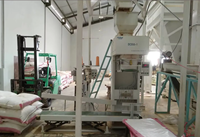 Machine d'ensachage Ewinall DCS-100FA1 50-100 kg pour riz, blé et céréales avec trois capteurs, studio fermé et convoyeur à levage automatique