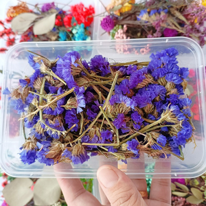 Set de 21 Variedades de Flores Secas Naturales, Kit de Hierbas Secas Reales para Hacer Velas y Jabones, Decoración del Hogar, Regalo - Product Image 6