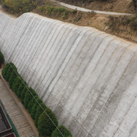 Manta de cemento de hormigón ferroviario de alta resistencia a la flexión hecha en China al mejor precio