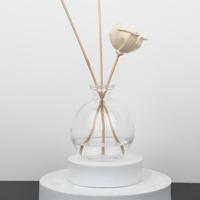 Bouteille en verre sphérique transparente de 250 ml avec bouchon roll-on pour diffuseur à bâtonnets DIY, vase écologique, emballage carton