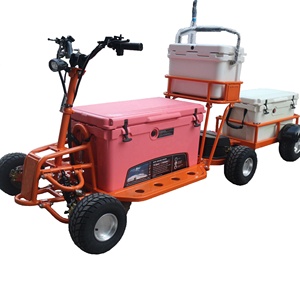 New Refrigerator Truck 2WD Cooler Scooter with 45QT Cooler Box