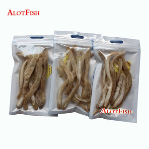 Alotfish isca de pesca seca congelada, minhoca de pesca