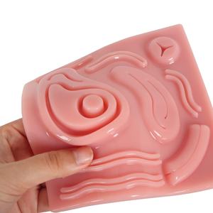 전문 복강경 시뮬레이션 트레이너, 사실적인 조직 느낌의 MIS 실습용 봉합 패드 - Product Image 2