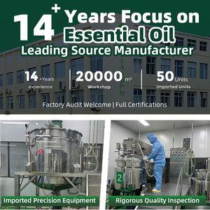 Aceite <span class=keywords><strong>de</strong></span> Semillas <span class=keywords><strong>de</strong></span> <span class=keywords><strong>Rosa</strong></span> <span class=keywords><strong>Mosqueta</strong></span> 100% Puro Prensado en Frío, Humectante Herbal para Cuerpo y Cabello - <span class=keywords><strong>Beneficios</strong></span> Iluminadores, Reafirmantes y con Brillo - Product Image 4