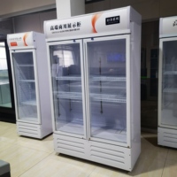 Réfrigérateur à boissons à double porte vitrée 650L - Réfrigérateur à bière commercial haute performance et vitrine réfrigérée verticale pour restaurants