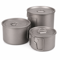 Grand pot de camping en titane pur de 1000 ml avec couvercle - Bol de cuisson extérieur grande capacité avec poignée pliable - Vente en gros OEM/ODM