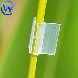 Agriculture Mini Plantes Greffé Silicone Tube Transparent <span class=keywords><strong>Tomate</strong></span> Greffage Clip 2.5 Mm Papillon Clip pour <span class=keywords><strong>Tomate</strong></span> Greffeur - Product Image 3