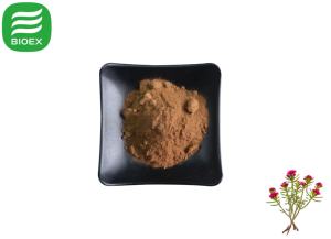 純粋な<span class=keywords><strong>Rhodiola</strong></span> <span class=keywords><strong>Rosea</strong></span>エキス天然健康サプリメント<span class=keywords><strong>Rhodiola</strong></span> <span class=keywords><strong>Rosea</strong></span>エキス3% 10% サリドロシド工場供給 - Product Image 2