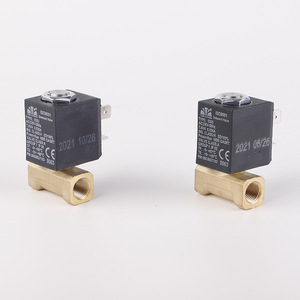 Yuyao Yongchuang Solenoid Valve 5503-01 AC220V 50Hz Miniature Gas Heater Valve Monte Heater Valve - Product Image 1