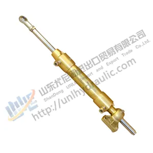 Customized Small Stainless Steel Hydraulic Piston Cylinder Double Acting for Industrial Machinery Marine
