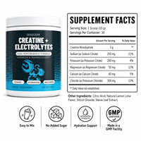 Poudre de supplément d'hydratation au citron et au citron vert pour adultes, 300g – Mélange d'électrolytes et de créatine monohydrate pour le soutien de l'entraînement – Usine ODM/OEM