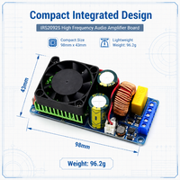 Module d'amplificateur de puissance numérique professionnel 500W IRS2092S Classe D Mono HIFI avec 90% d'efficacité