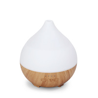 Diffuseur d'arômes purificateur de qualité professionnelle avec veilleuse, 140 ml, silencieux, humidificateur d'aromathérapie à atomisation d'huiles essentielles, alimentation USB/CA