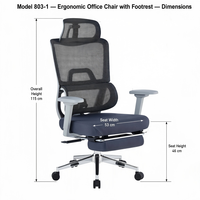 Chaise de bureau à dossier haut entièrement inclinable en maille avec appui-tête réglable, repose-pieds rétractable et base chromée pour bureau à domicile