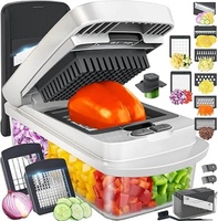 Hachoir à légumes multifonctionnel 16-en-1, mandoline manuelle avec récipient et lames en acier inoxydable pour la cuisine