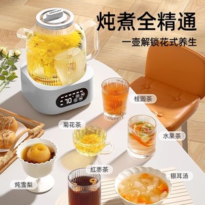 Health Pot Glass 1.2L Electric Temperature <b>Control</b> Tea Maker For Flower Tea And Herbal Soup - Product Image 1