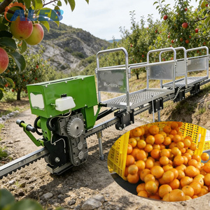 Eccellente Trasportatore Autopropulso per Vigneti di Alta Qualità, Macchina Monorotaia per Pendenze Ripide, Molto Richiesta e Durevole - Product Image 1