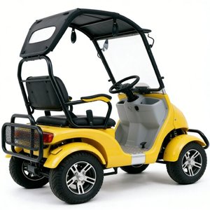 Scooter électrique 4 roues 60V800W pour adultes, <span class=keywords><strong>mini</strong></span> voiturette de club, loisirs, 2 places, chariot de golf - Product Image 4