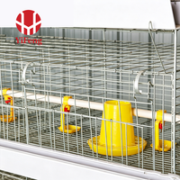 Système économique de cages d'élevage automatiques de type H pour poussins, avec accessoires complets, idéal pour les projets d'élevage avicole neufs