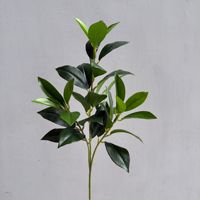 Plante Artificielle de Qualité Écologique Légère, Tiges de Verdure, Feuille de Citron, Branche à 3 Branches, pour Composition Florale Maison, Hôtel, Mariage