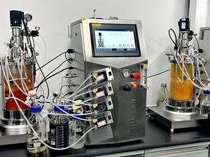 Высокое качество 20 л стеклянный ферментер Bailun оборудование для BLBIO-20GJA химии механическое перемешивание двигателя биореактор - Product Image 4