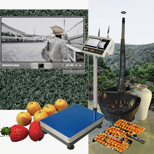 Báscula Electrónica Personalizable Veidt de 40*50cm con Pantalla LED Imprimible, Capacidad de 600kg, Compatible con OEM y ODM, Modelo JK-32P - Product Image 4