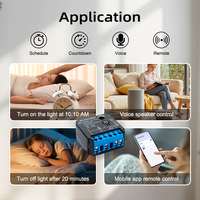 Module d'interrupteur à intensité variable certifié Matter, 220V 200W, pour LED et halogènes, compatible maison intelligente, commande vocale Google Alexa, personnalisable OEM