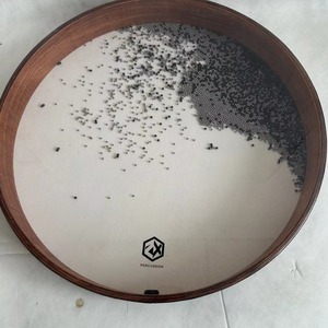 Tamburo durevole dell'onda dello strumento musicale del <span class=keywords><strong>fagotto</strong></span> che simula il <span class=keywords><strong>suono</strong></span> naturale dell'oceano - Product Image 5