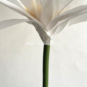 DKB กระดาษใหญ่ฉากหลังดอกเบญจมาศประดิษฐ์ดอกไม้กระดาษยักษ์สำหรับจัดงานแต่งงาน - Product Image 5