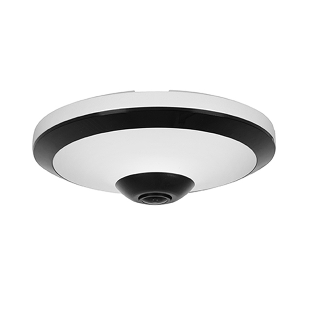 IPC-EW5541P-AS 5MP WizMind POE Network Security CCTV Cameras Built-in Mic IR Fisheye Camera IP