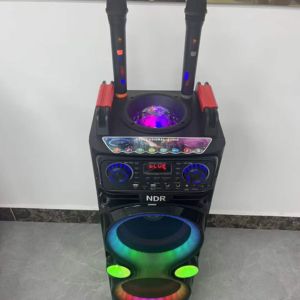 Altavoz Karaoke Portátil OEM <span class=keywords><strong>NDR</strong></span>-1100 de 10 Pulgadas de Alta Potencia para Exteriores con Bluetooth, <span class=keywords><strong>2</strong></span> Micrófonos, Luces LED, para Fiestas, DJ, HIFI, Inalámbrico - Product Image 4