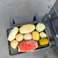 Industriële volautomatische kokosnoot- en ananas-schilmachine met motor van roestvrij staal 304