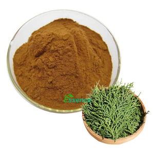 天然植物育毛有効成分<span class=keywords><strong>Platycladus</strong></span> <span class=keywords><strong>Orientalis</strong></span>葉エキスパウダー4:1 10:1 - Product Image 1