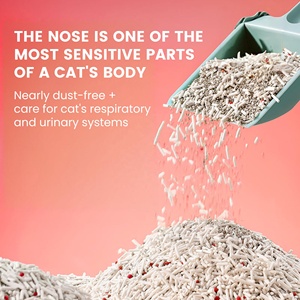 ตัวล็อคกลิ่น<span class=keywords><strong>ทราย</strong></span><span class=keywords><strong>ทราย</strong></span>ครอกแมวเป็นมิตรต่อสิ่งแวดล้อมพร้อมทับทิมแดงและเต้าหู้ผสมสำหรับแมว - Product Image 3