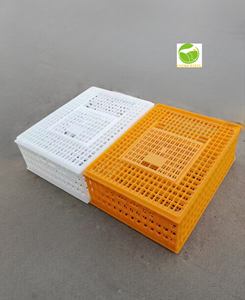 Büyük ölçekli tavuk çiftliği operasyonları için yüksek kapasiteli istiflenebilir kanatlı kasalar - Product Image 2