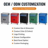 Serrures à clé pour portes doubles, chariot à outils, capacité de charge 300 kg, personnalisable OBM/OEM/ODM, garantie 3 ans, verrouillage à 3 points pour protéger les objets de valeur