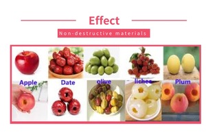 Machine à pichet, 5 m, professionnelle, pour faire des boulettes de cerise, pêche et abricot, nouveau style - Product Image 5