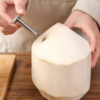 Keuken Gadget Rvs Kokosnoot Gat Opener Fruit & Groente Gereedschap Met Gat Makkelijk Te Gebruiken Stro Opener