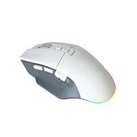 Souris de jeu sans fil USB ergonomique personnalisée de haute qualité, rechargeable, optique, double mode, pour joueurs, 4800 DPI, souris de jeu pour ordinateur