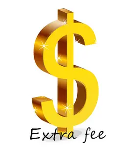 Extra fee