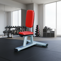 Banc de musculation utilitaire plat réglable, style moderne, entraîneur de sit-up